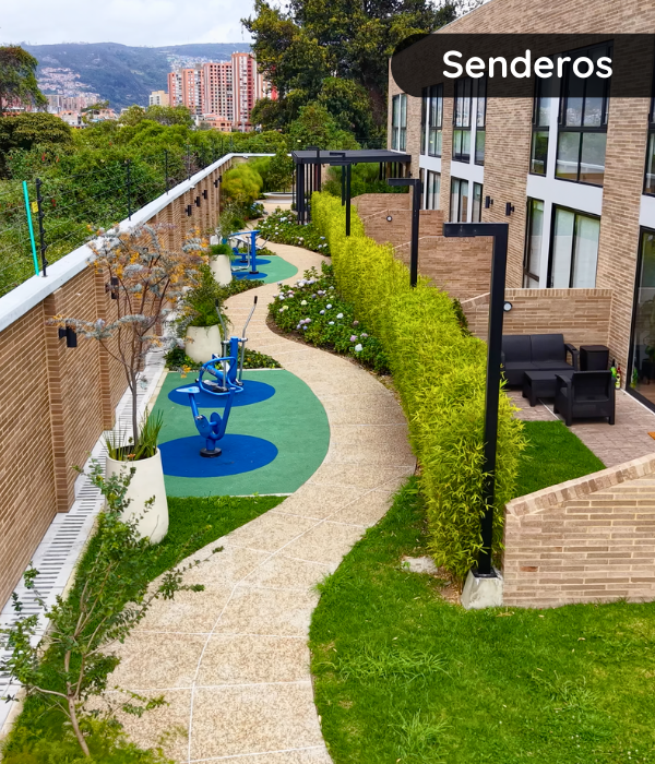 Cancha de Pickleball (7)